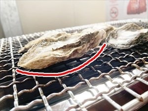 牡蠣の殻の曲面部分