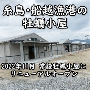 糸島･船越漁港の牡蠣小屋 2022年11月01日(火) 常設牡蠣小屋にリニューアルオープン！７店舗のカキ小屋が営業します。